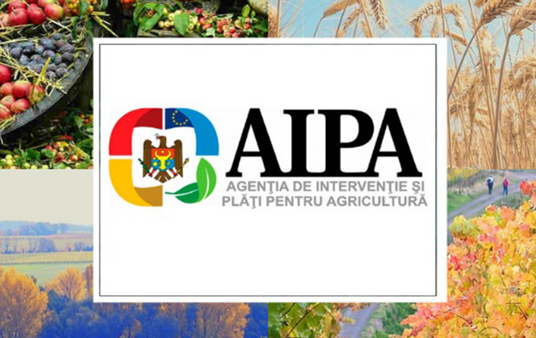 Măsuri de finanțare AIPA pentru construcția bazinelor și iazurilor- 2023